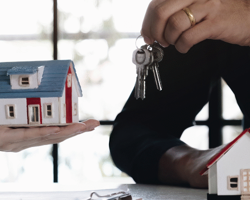 Real Estate Agency in Jebel Ali Free Zone